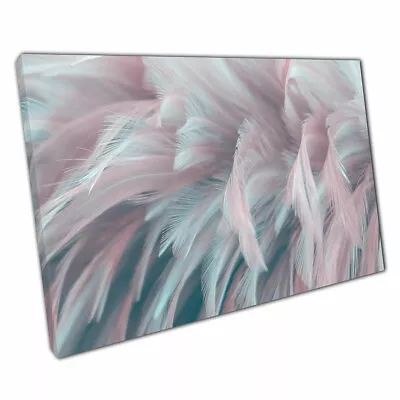 Abstract Nature Pastel Bird Fluffy Feather Art Canvas Wall Art Print On Canvas • £9.70