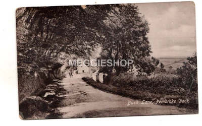 £1.50 • Buy Pembrokeshire Pembroke Dock Bush Lane Old  Postcard