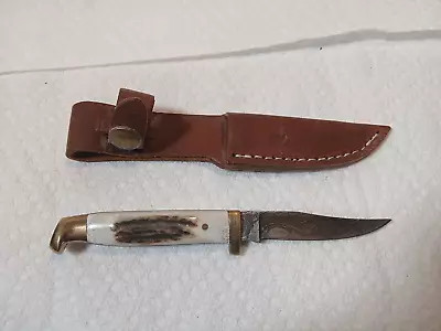 Vintage Fox Hound Damascus Stag Handle Fixed Blade Hunting Nnife 3  Blabe • $15