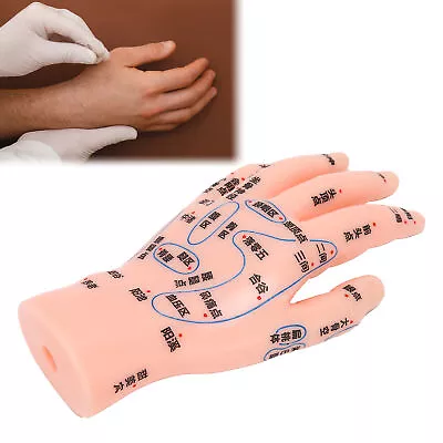 Left Hand Acupuncture Point Model Hand Acupoint Massage Reflection Area BOO • $13.35
