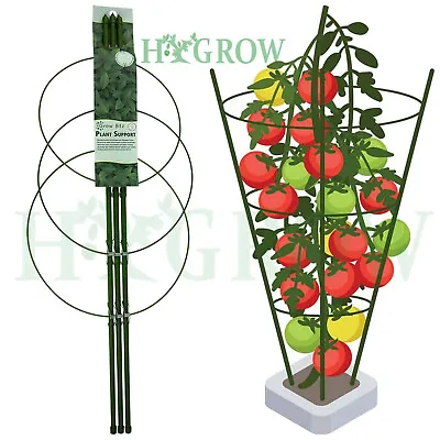 Collapsible Plant Support Cage Garden Trellis Grow Stakes Metal Bamboo Poles Set • £7.95