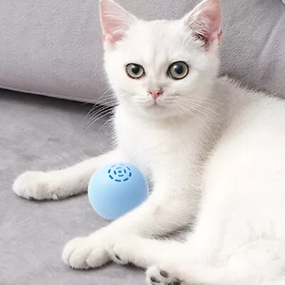 LF# Cat Music Ball Creative Electric Cat Ball Toys Squeak Pet Product (Light Blu • $18.36