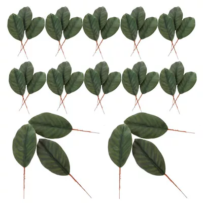  30 Pcs Artificial Magnolia Leaves Silk Cloth Flower Arrangement Decor • $10.14
