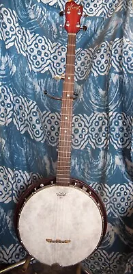 Vintage Kay 5 String Banjo / New Tuners & Fiberskyn Head / Good Frailin Banjo • $75