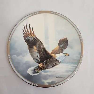 Rise Above The Storm American Bald Eagle Plate By Mario Fernandez Fountainhead • $19.99