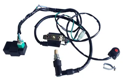 Wiring Harness On Off Switch Coil Spark Plug For 110cc 125cc 140cc SSR Pit Bike • $21.31