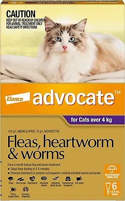 Flea Heartworm And Worm Control For Cats Over 4kg Purple 6 Pack Fast Acting • $105.89