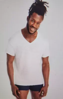 Men's Hanes Premium Original V-Neck Tagless White T Shirt 6 Pack Small 34/36 New • $19.98