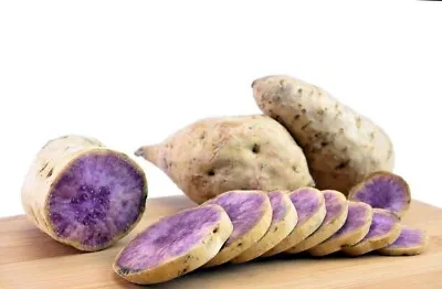 10 Hawaii Okinawa Purple Sweet Potato Slips Cutting Khoai Lang Tim Hawaii • $20