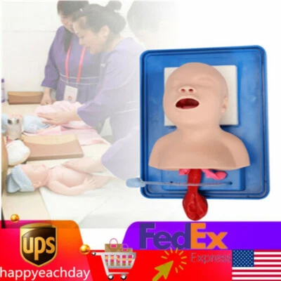 $84.56 • Buy  PVC Airway Management Trainer Model Lab Oral Intubation Manikin Study Teaching