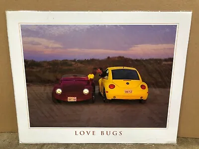 Impact Images Volkswagen VW Beetle Love Bugs 16 X 20  Poster NEW • $10