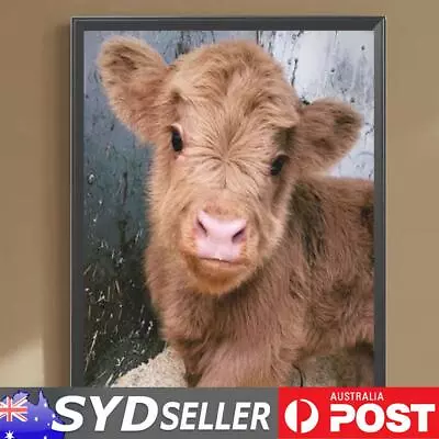 5D DIY Full Round Drill Diamond Painting Highland Calf Baby Home Decor 30x40cm • $10.29