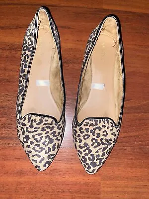 Merona Women's Animal Print Flats Leopard Print Pointed Toe Brown Size 8 • $19.99