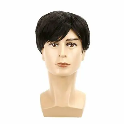 Men Male Natural Black Wig Short Straight Synthetic Hair Heat Resistant Style • $14.99