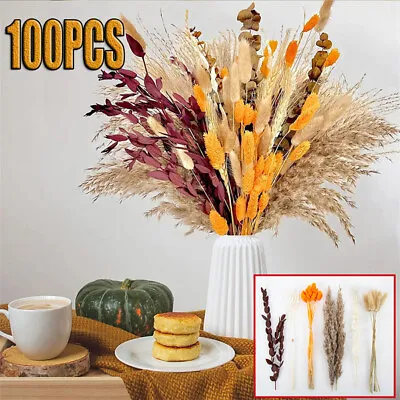 100pcs Pampas Grass Natural Dried Flowers DIY Feather Grass Bouquet Home Decor • £4.55