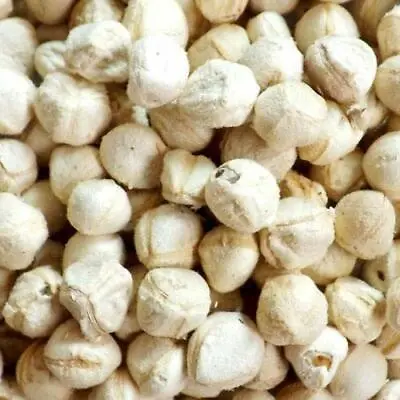 Drumstick Seeds - Moringa Oleifera - Sahjan Seeds - Beej Sohjana - Moringa Seeds • $15.96