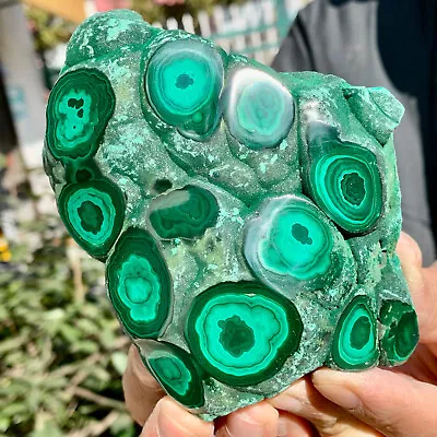 1.55LB  Natural Glossy Malachite Transparent Cluster Rough Mineral Sample • $0.99