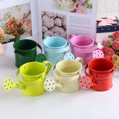 Large Capacity Mini Metal Watering Can Thickened Sprinkler  Flower • £4.63