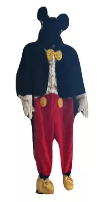 Mickey Mouse Costume Kids • $25