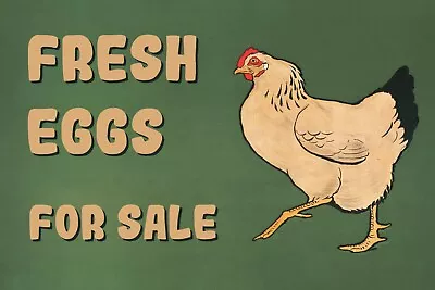 Fresh Eggs For Sale Vintage Style New Metal Sign Plaque Chicken Hen In Green • £12.95