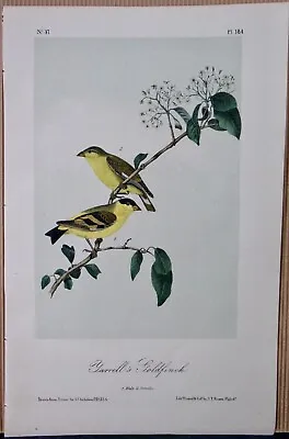 Yarrells Goldfinch Audubon 2nd Edition 1850 Hand Colored  Litho J.t.bowen Pl 184 • $64.95