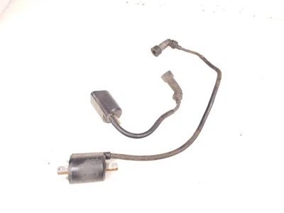 $24.95 • Buy 99-09 Yamaha V Star XVS1100 Classic Ignition Coil Packs & Plugs Set