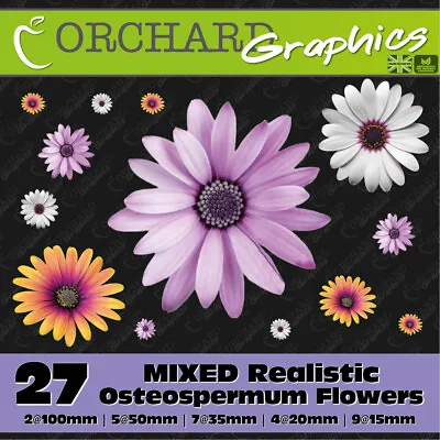 27 Osteospermum Gerbera Daisy Flower Car Stickers Vinyl Decal Bedroom Wall Art • £7.95