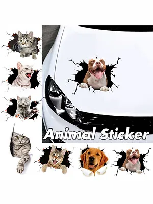 £2.87 • Buy 3D Car Window Crack Decal Funny Dog Animal Lover Sticker Husky Decal Decor
