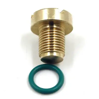 $6.59 • Buy Coolant Expansion Tank Bleeder Screw For BMW Models E36 E39 By Solid Brass