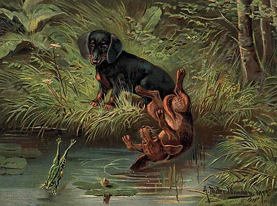 Dachshund Charming Dog Greetings Note Card Beautiful Dogs And Frog • $3.11