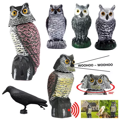 Realistic Owl Decoy Deterrent Rotating Head Sound Bird Pigeon Crow Scarer Statue • £9.40