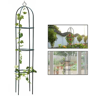 Outdoor/Garden Winding Plant Green Metal Obelisk Support Frame Trellis • £10.85