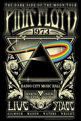 $18.95 • Buy Pink Floyd 13  X 19  Concert Mini Poster Re-Print Photo 