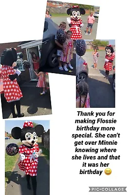 Mickey And Minnie Mouse Adult Mascot Costume Hire • £55