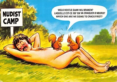 Bamforth Foreign Comic Postcard Nudist Camp Large Size Used Unused Gd+ Vg • £4.25