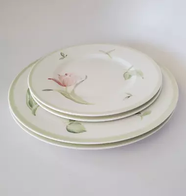 Villeroy & Boch FLOREA Set Of 2 Dinner Plates 10-1/2  & 2 Salad Plates 8-1/2  • $34.25