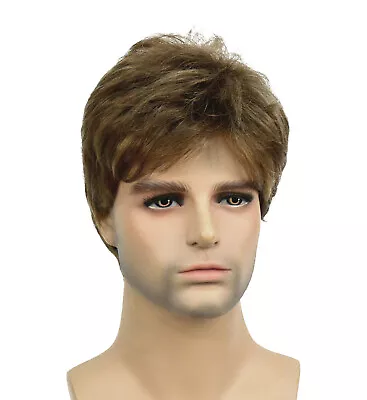 Mens Natural Short Straight Wigs Real Male Full Hair Wig Party Cosplay Toupee • $13.70