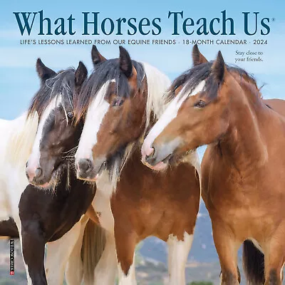 What Horses Teach Us 2024 7  X 7  Mini Wall Calendar • $6.74