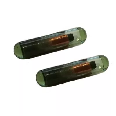 2x ID48 Key Fob Transponder Immobilizer Glass Chip | Audi VW Golf Jetta Beet USA • $9.87