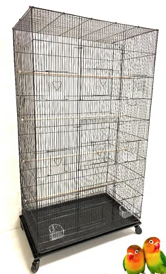 55  X-LARGE Flight Multiple Parakeet Canaries Finch LoveBird Bird Breeding Cage • $104.53