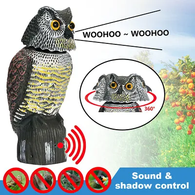 Realistic Owl Decoy Deterrent W/Rotating Head Sound Bird Pigeon Crow Scarer UK • £18.99