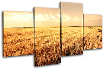 Corn Field Landscapes MULTI CANVAS WALL ART Picture Print VA • £39.99