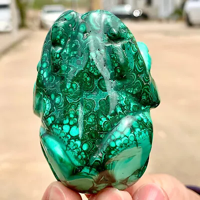 194G Rare Natural Malachite Quartz Hand Carved Toad Crystal Healing • $0.99