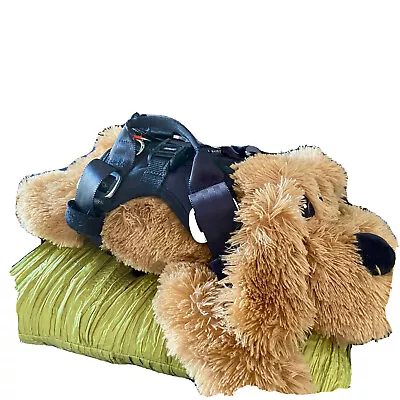 Ezydog Dog Car Safety Harness-crash Tested. • $95