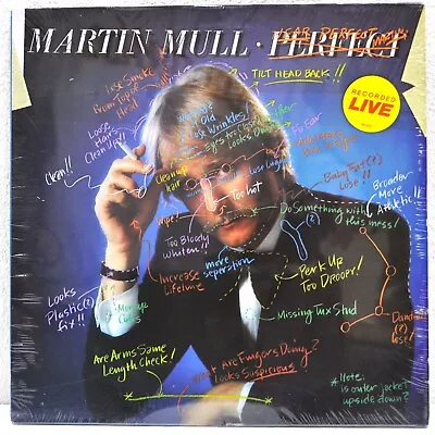 MARTIN MULL    Perfect / Near Perfect    1979 Vinyl LP   Elektra 6E-200   NEW • $17.99