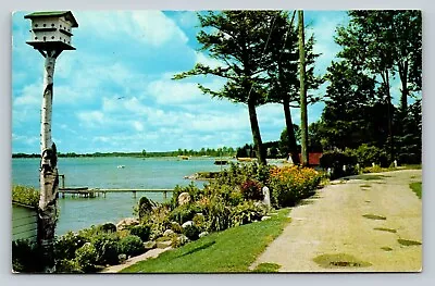 C1972 Shore Of Crooked Lake In Northern Michigan Vintage Postcard 1643 • $9