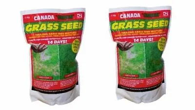 £39.99 • Buy 2kg Of Genuine Original Canada Green Grass Seed Fast Growing 500sq Ft Free P&p