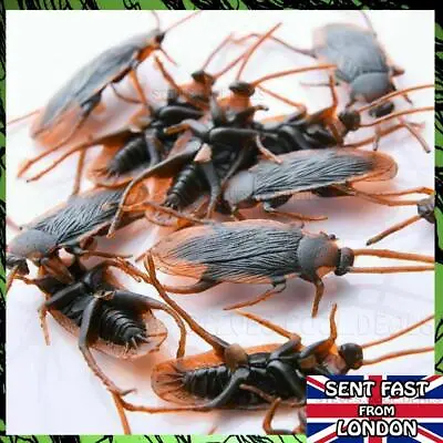 Joke Cockroach Bug Funny Prank Novelty Life Like Fake Plastic Toy Trick NEW • £3.60