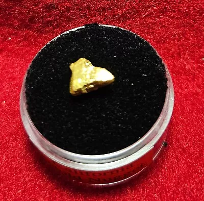 California Natural Gold Nugget 1.6 Grams  In A Gem Jar W/lid • $129