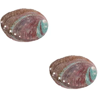  2 Count Household Shell Decor Rough Abalone Aromatherapy Stand • £10.28